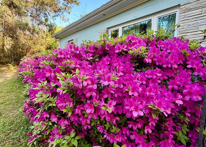 Casita Theresa- 5 Min To Downtown 15 Min To Beach